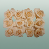 Rose Preserved Mini Champagne