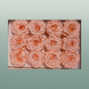 Rose Preserved Rom Mini Pink Soft