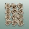 Rose Preserved Mini Sand