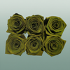 Rose Preserved Classic Green Olive