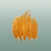 Feather Ostrich Feathers Yellow