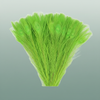Feathereacock Appelgreen L45-50