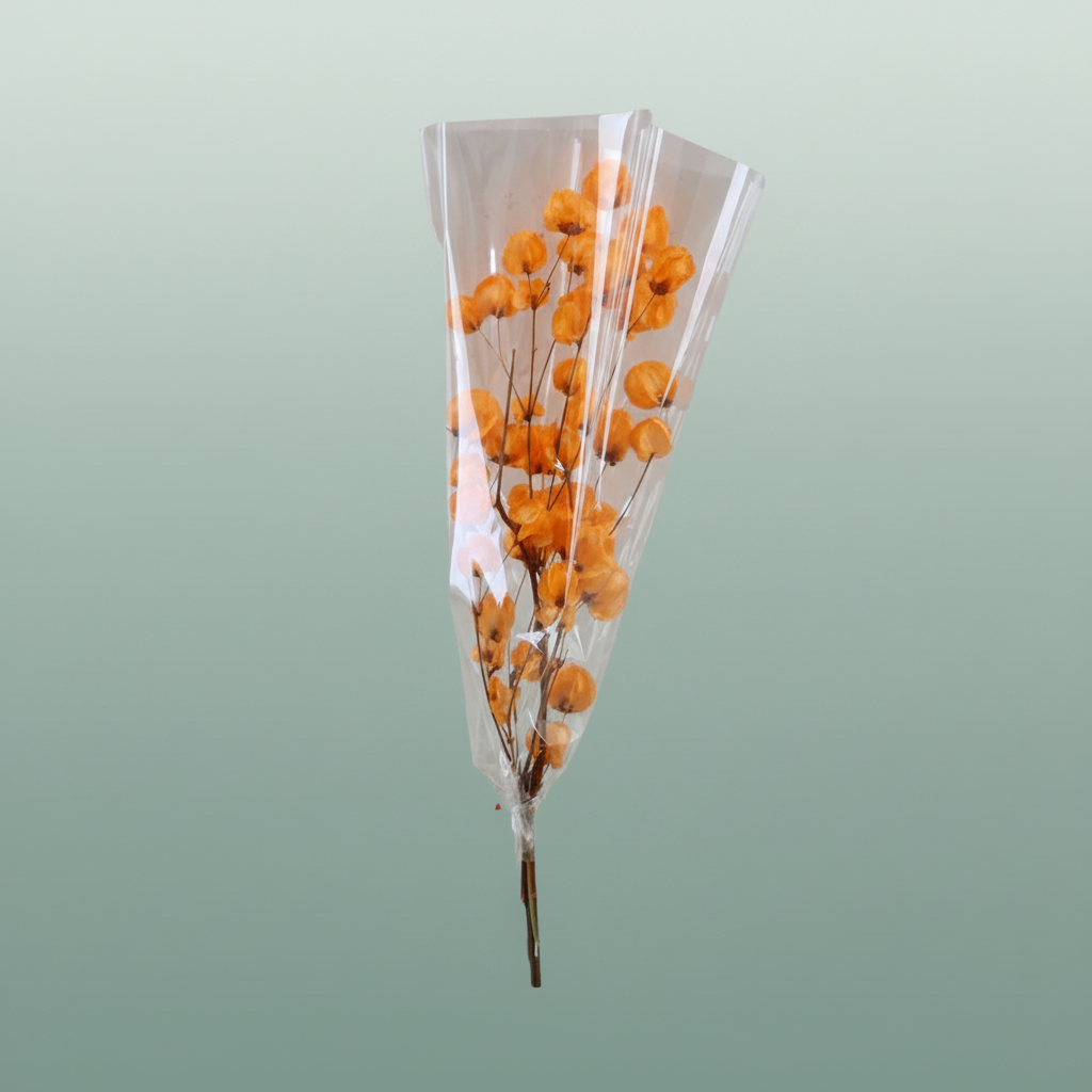 Dried Bougainvillea Orange Bunch
