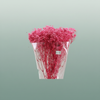Pres Gypsophila Bouquet Bleached Cerise