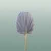 Dried Palm Spear Xxl Bl Milka