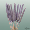 Dried Babala Frosted Milka