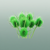 Dried Cardi Light Green