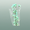 Dried Bougainvillea Turquoise Bunch
