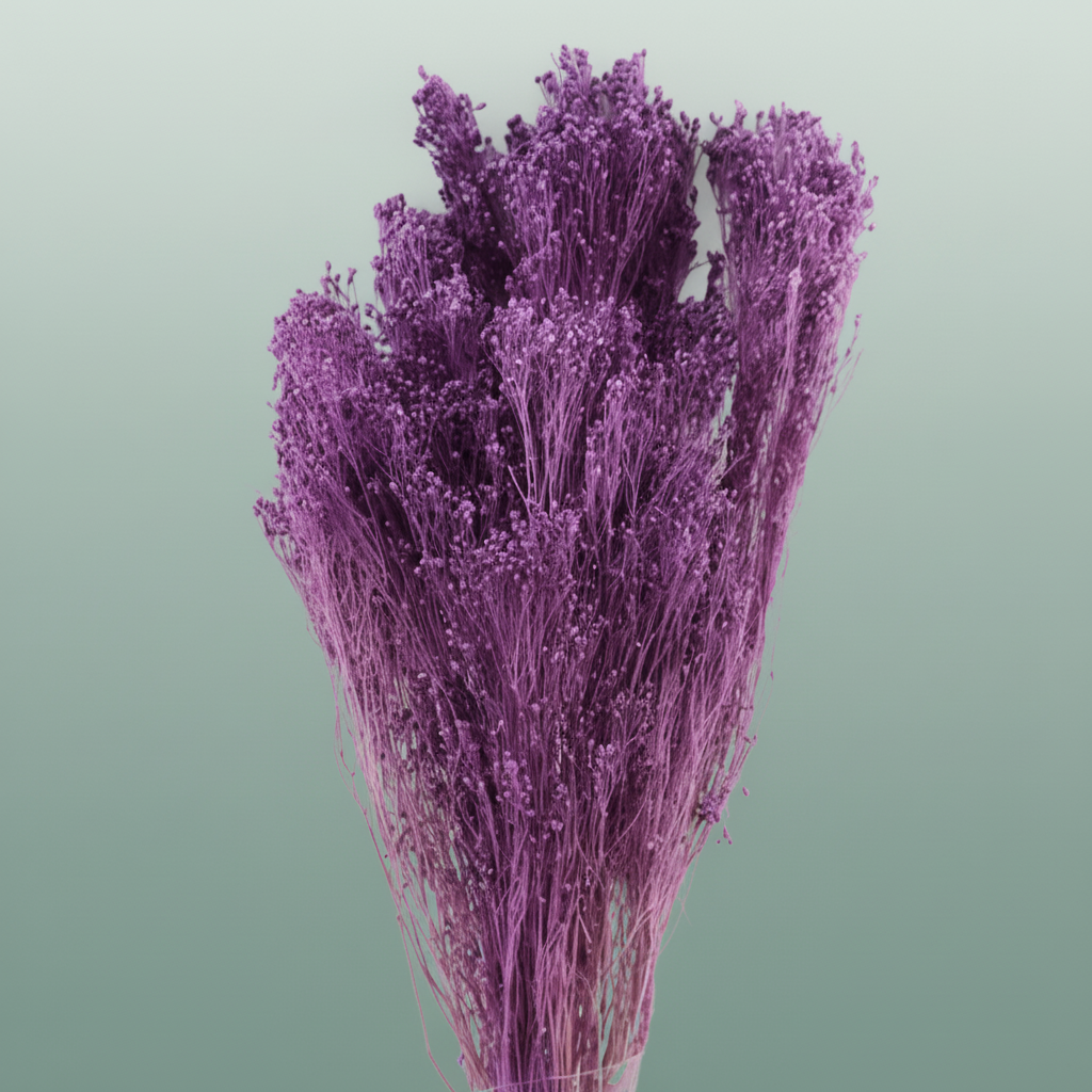 Dried Brooms Milka