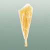 Dried Brooms Soft L Yellow