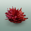 Dried Artz Cynara Heads Monet
