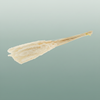 Dried Fluffy Pampas Bleached