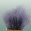 Dried Stypha Lavender