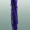 Pres Amaranthus Caud Light Purple