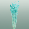 Pres Eryngium Mini Baby Blue