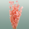 Dried Lunaria Salmon