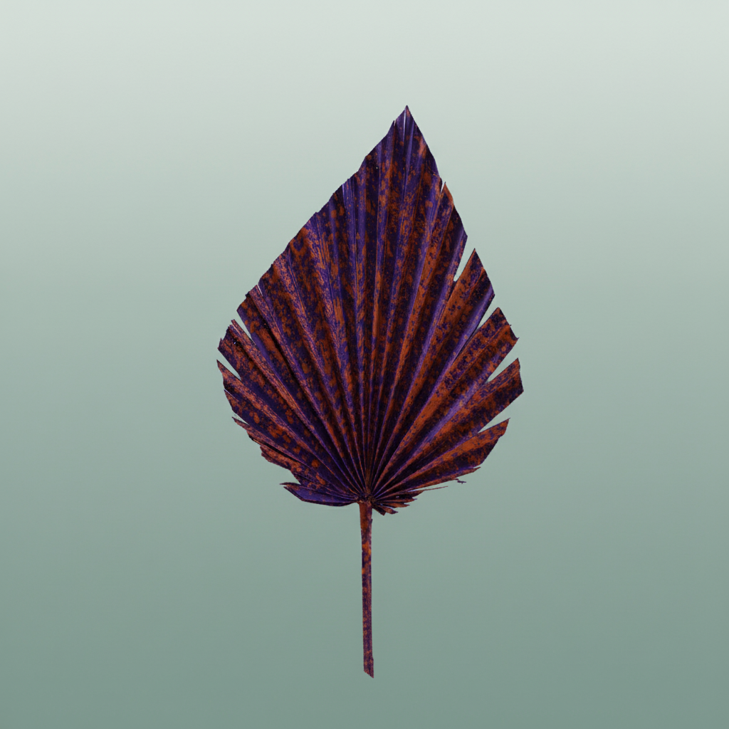 Dried Artz Palm Spear Xl Vermeer