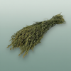 Dried Avena (haver) Natural