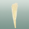 Pres Gypsophila Bleached