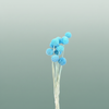 Pres Craspedia Giant L Blue