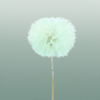 Pres Puste Flower Emerald