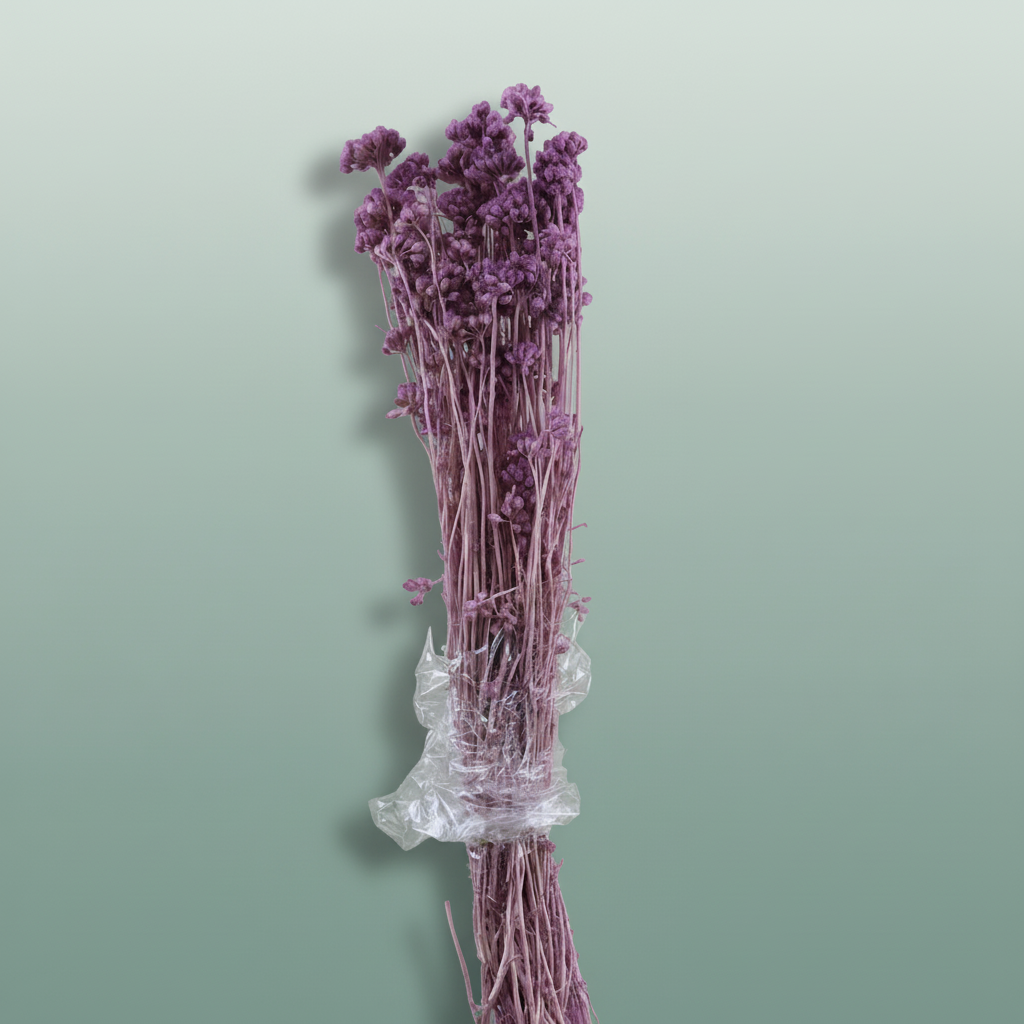 Dried Lonas Milka