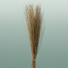 Dried Natural