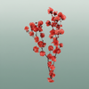 Dried Bougainvillea Red Bunch