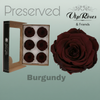 Rose Preserved Burgandy