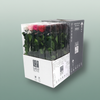 Rose Preserved Stem Popular Mix