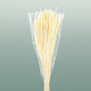 Dried Setaria Italica Bleached