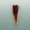 Dried Setaria Italica Brown