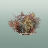 Dried Ruscus Aculeatus Metallic Mix