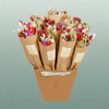 Dried Bouquet Red Allure Market