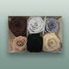 Rose Preserved Classic Mix Earth