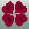 Ro Pres Hearts Fuchsia