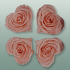 Rose Preserved Hearts Soft Pink
