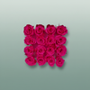 Rose Preserved Micro Fuchsia