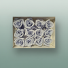 Rose Preserved Mini Lavender