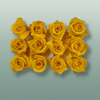 Rose Preserved Mini Yellow Gold
