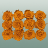 Rose Preserved Rom Mini Orange