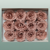 Ro Pres Rom Mini Pink Dusty