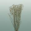 Dried Limon Diamond White