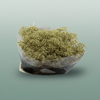 Gypsophila Dyed Grof Metallic Gold