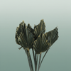 Dried Palm Spear Olive Gold