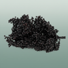 Schinus M Pt Black