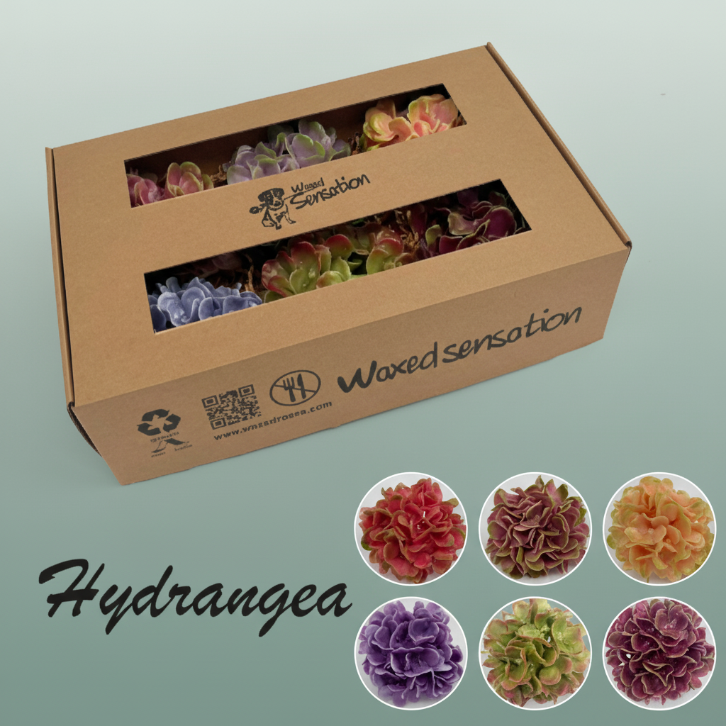 Wax Hydrangea Head