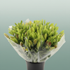Bouquet Mono Lily