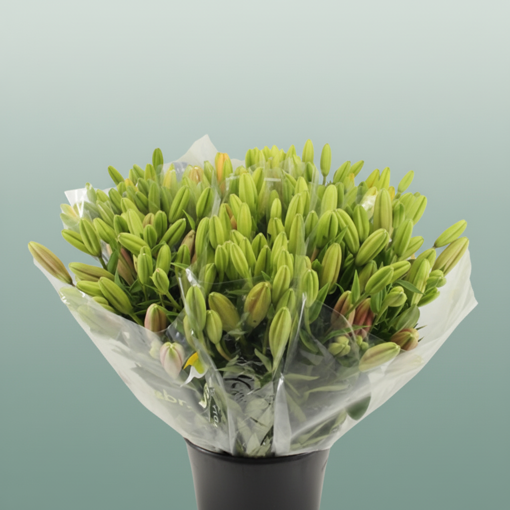 Bouquet Mono Lily
