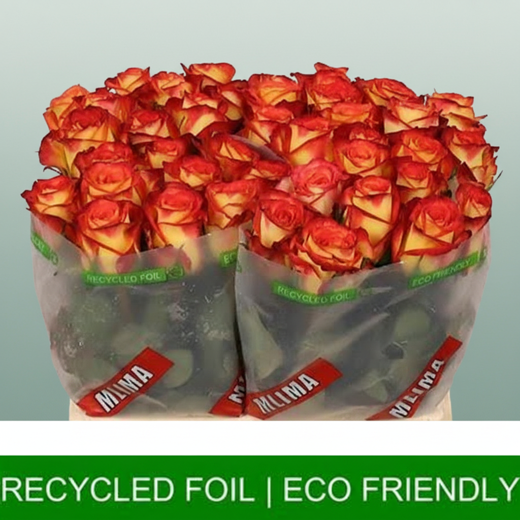 Rose Firefox